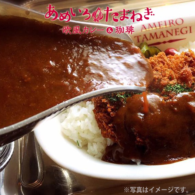業務用 剛家カレー あめいろたまねぎ 本格カレールゥ 2kg×6（60人前）　メーカー直送 同梱不可代引不可