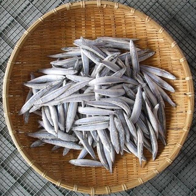 送料無料　鹿児島甑島産　きびなご 冷凍 -25℃ 約1kg　産地直送f  代引・同梱不可代引不可　同梱不可　※北海道東北は別途送料1000円（税込）かかります。