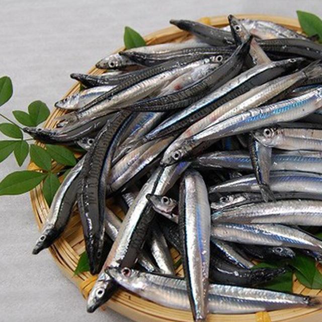 送料無料　鹿児島甑島産　きびなご生1kg　産地直送ｆ　代引・同梱不可　西日本エリアまで出荷可能