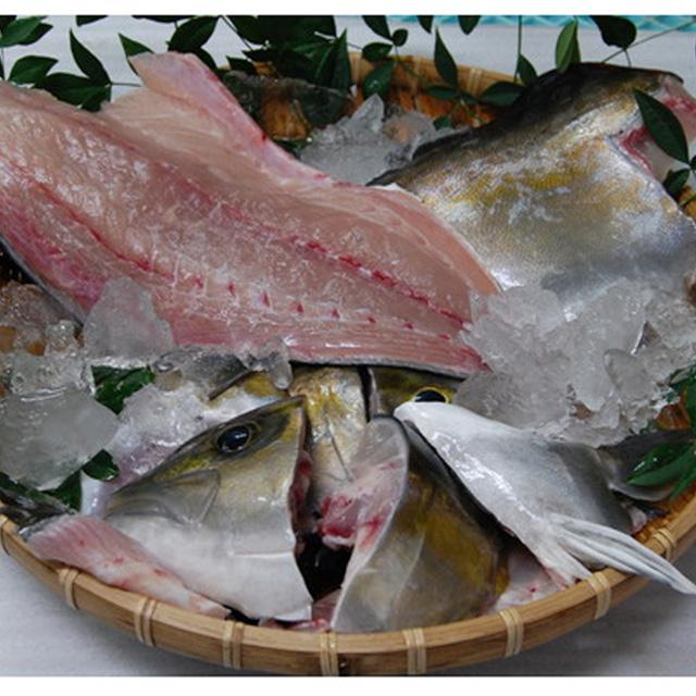 【西日本エリアまで出荷可能】甑島産 カンパチ1尾3枚下ろし約3.8kg　甑島産産地直送ｆ