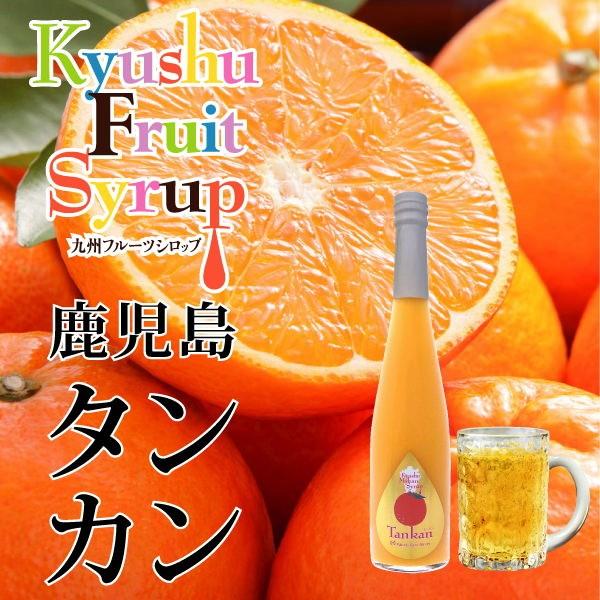 福田農場 タンカンシロップ 500ml