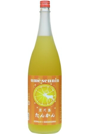 さけのいちざ　うめせんにん　屋久島たんかん　　1800ml　(リキュール）