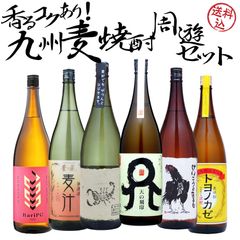【送料込・九州各地の麦焼酎大集合】個性豊かな麦焼酎 6本 飲み比べセット　1800ml×6本　けいこうとなるも トヨノカゼ Baripi 麦汁 天の刻印 麦 麦焼酎 焼酎 バリピ