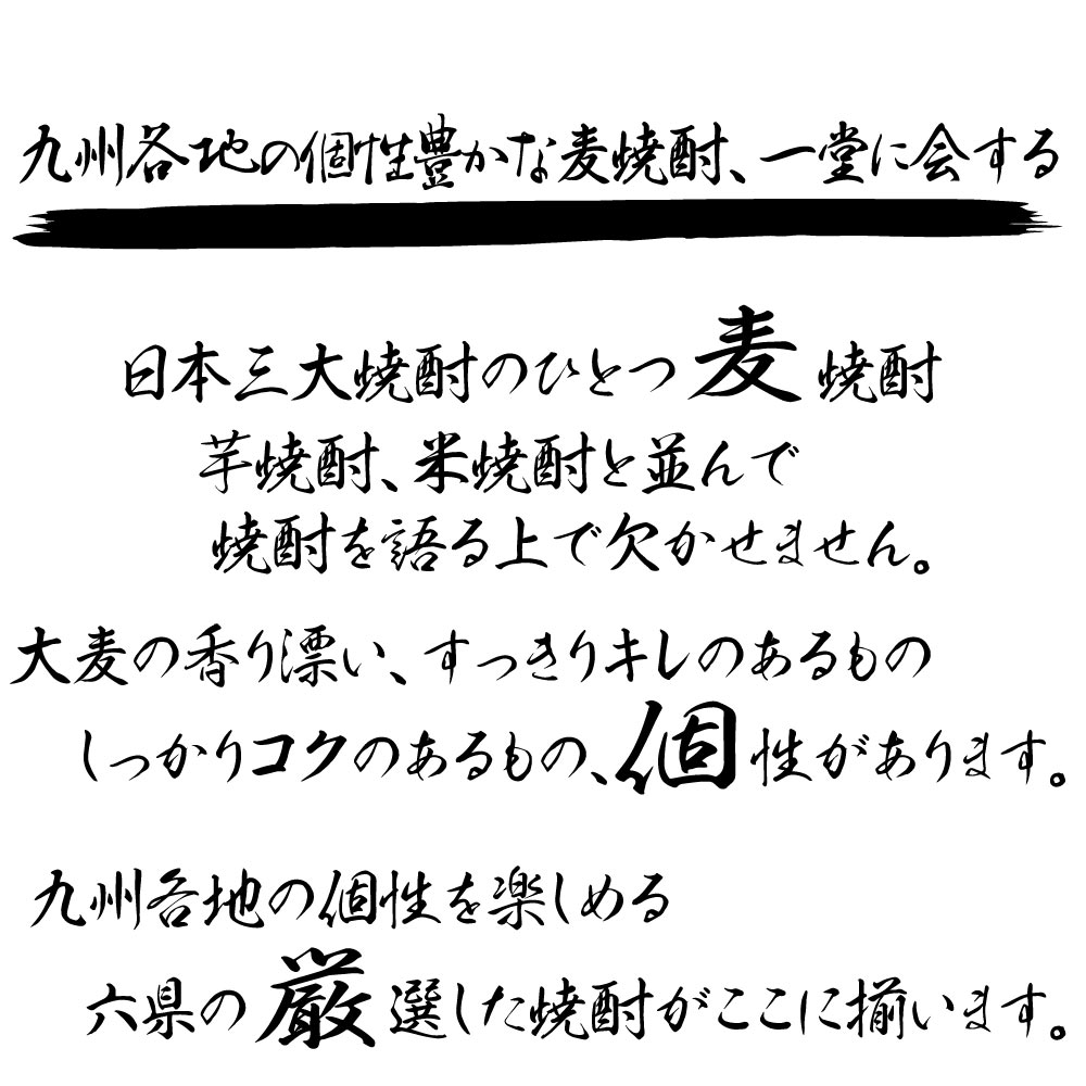 【送料込・九州各地の麦焼酎大集合】個性豊かな麦焼酎 6本 飲み比べセット　1800ml×6本　けいこうとなるも トヨノカゼ Baripi 麦汁 天の刻印 麦 麦焼酎 焼酎 バリピ