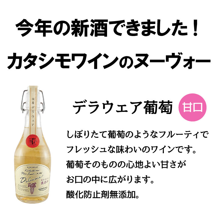 【2026国産ヌーヴォー】カタシモワイナリー　デラウェア葡萄　500ml (白ワイン)　河内ワイン ヌーボー 新酒 甘口 酸化防止剤無添加 不使用
