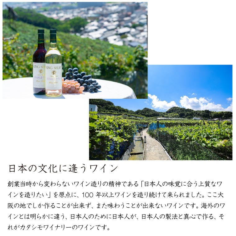 【2026国産ヌーヴォー】カタシモワイナリー　デラウェア葡萄　500ml (白ワイン)　河内ワイン ヌーボー 新酒 甘口 酸化防止剤無添加 不使用