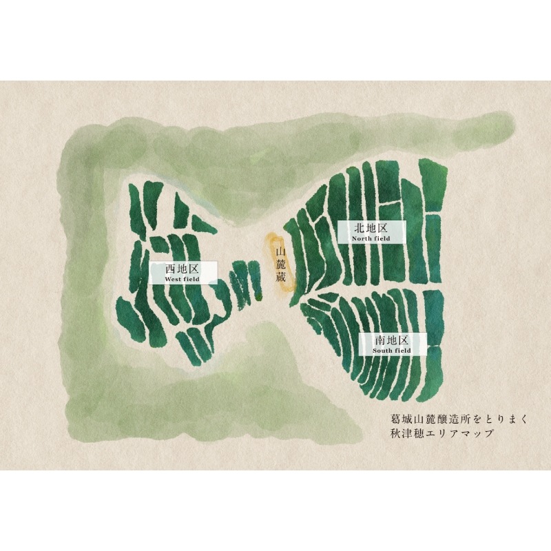 S風の森 2024 ☆☆ 杉浦 南地区01　720ml