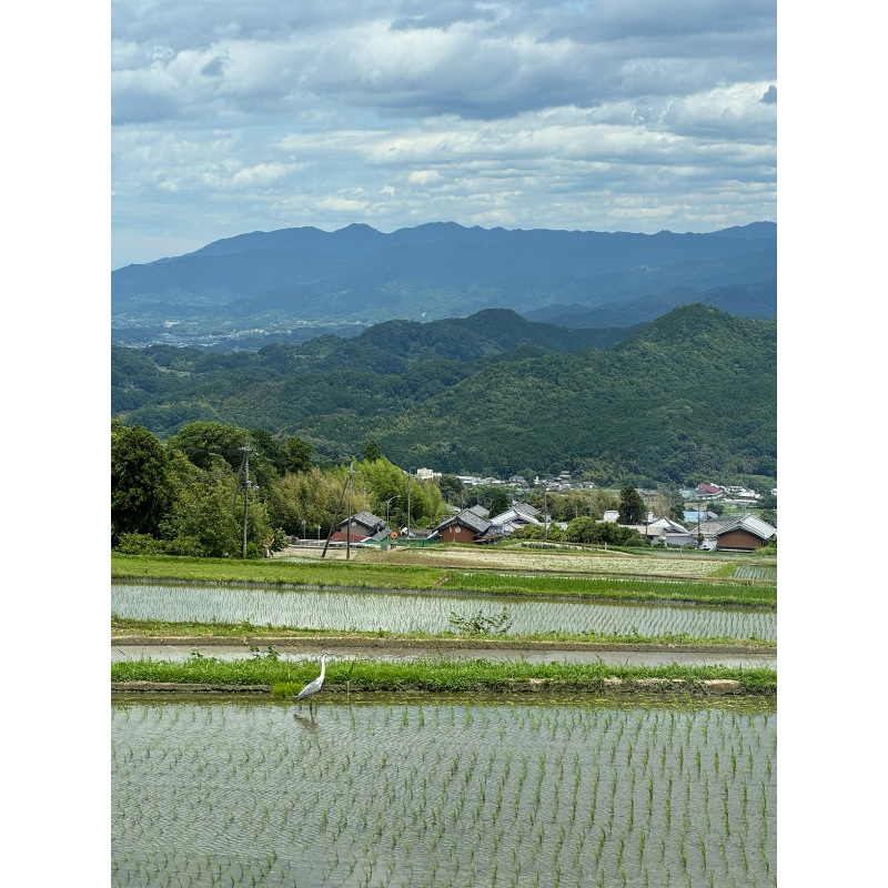 S風の森2025☆北・壺井/北地区 720ml