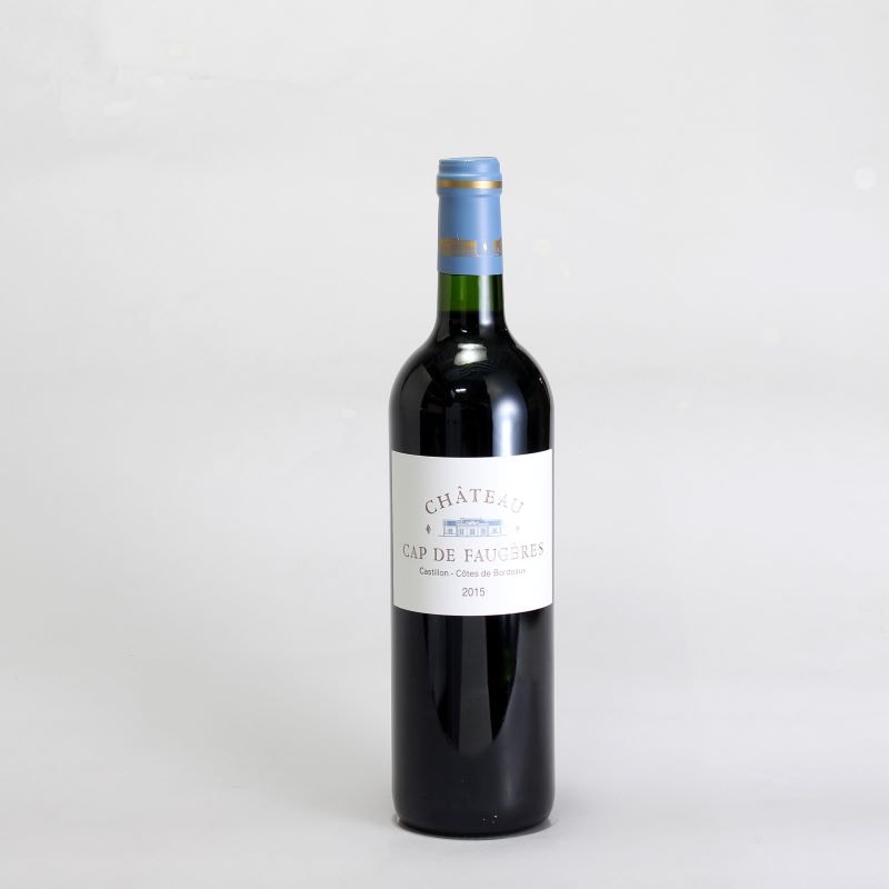 シャトー・カップ・ド・フォジェール　赤　2015　750ml