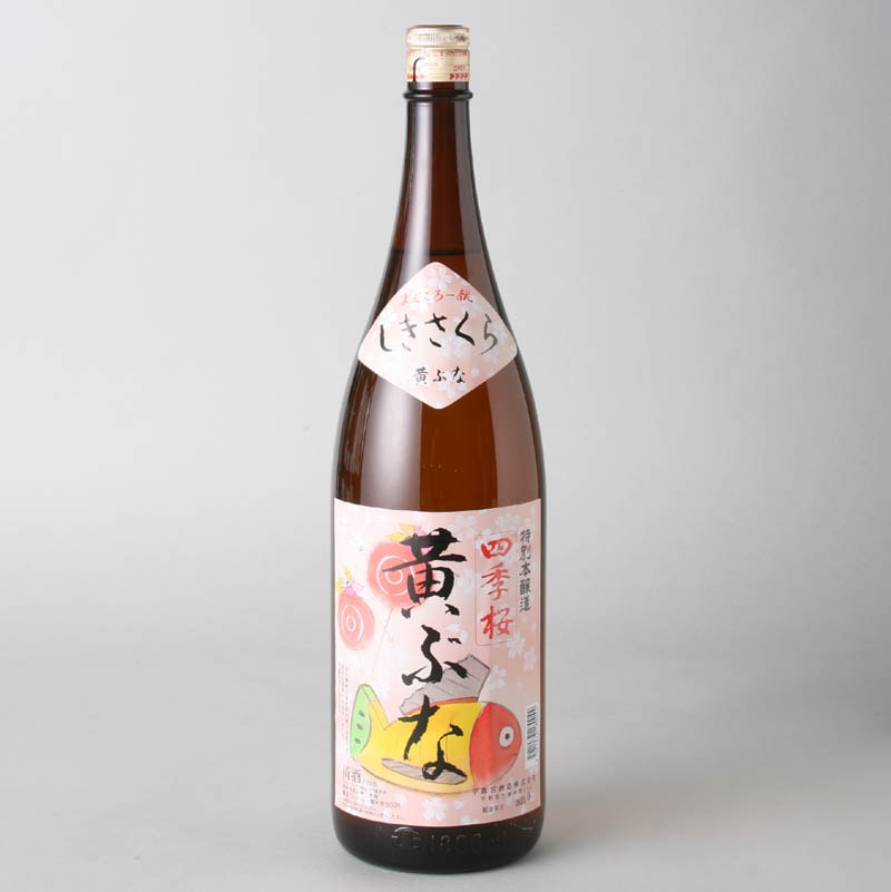 四季桜 黄ぶな 1800ml｜栃木の地酒通販｜淀川酒店(栃木県宇都宮市)