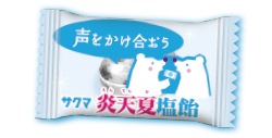 炎天夏塩飴　10袋
