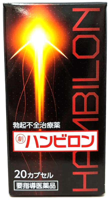 �ϥ�ӥ���ȿɡζ��������ҥ�ӥ󡡾˻����ȥꥭ�ˡ��͡��۹�ޡ��������ץ��롡�׻�Ƴ������