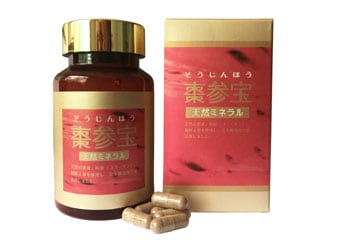 ܧ���� ��������ۤ���100γ���ꡡ�쥿���ѥå��ץ饹��ȯ��