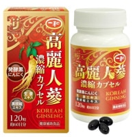 �������ǻ�̥��ץ��� 120γ���ڥ᡼����ľ�� ��Ķ���ȯ���ۡ�(��)����������