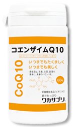 �參���ץꡡ�����󥶥���Q10��120γ���̤����󤻡�