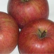 ̵ۡڤ֤Բġդĥ5kg