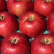 ̵դȤ餺Ĥ뾮̥5kg