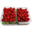 ̵ۡ6ܤϤۺƣ2̥1kg