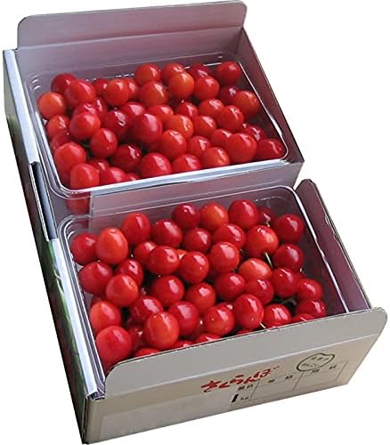 ̵ۡ6ܤϤۤܥåȣ/̥1kgʺƣ500g500g