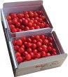 ̵ۡ6ܤϤۤܥåȣ/̥1kgʺƣ500g500g