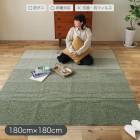 ラグ 180×180cm カラーステップ Colorstep 日本製 軽量 洗濯OK【抗菌、抗ウイルス機能なし】遊び毛防止 洗える ストライプ柄 Mサイズ 代引不可|ラグ