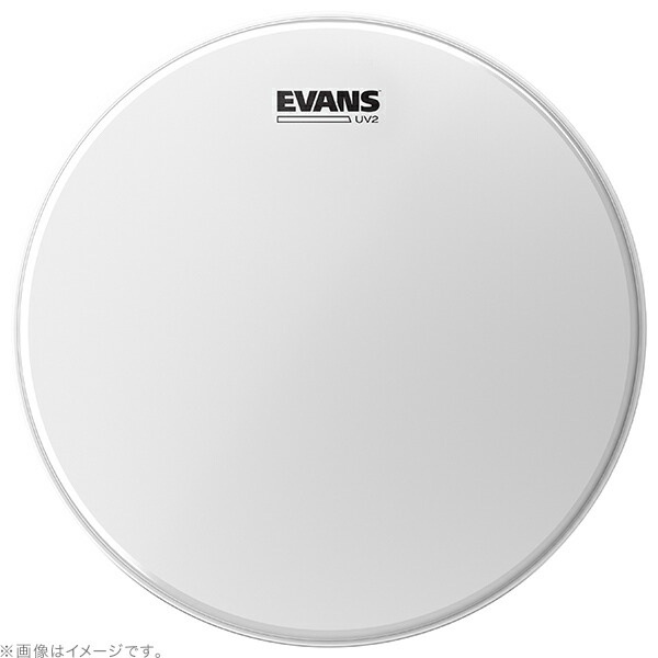 EVANS UV2 コーテッドヘッド B08UV2【エヴァンス エバンス 8