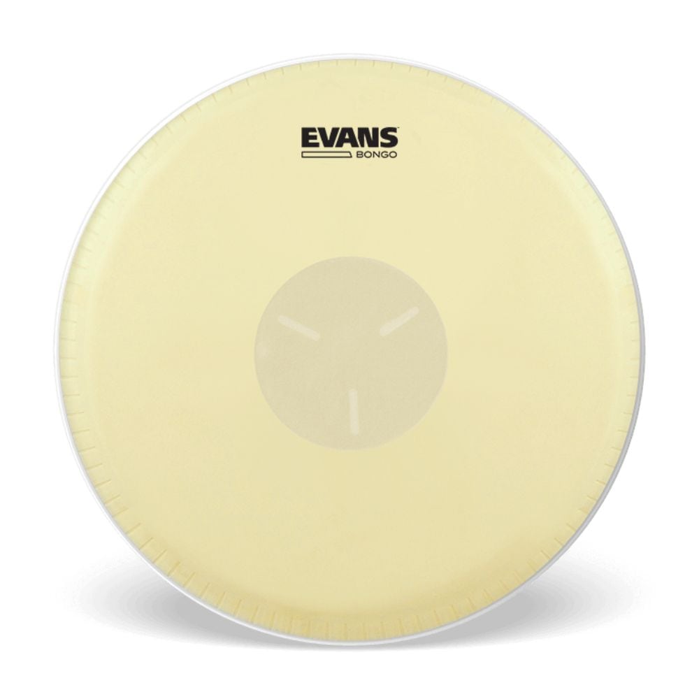 EVANS ボンゴ ヘッド  EB07/7 1/4