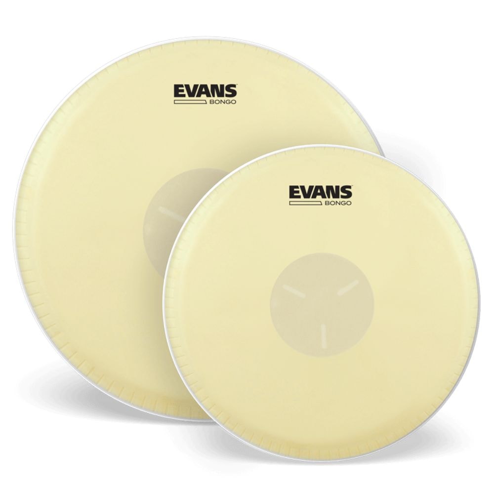 EVANS ボンゴ ヘッド  EB0709/7 1/4