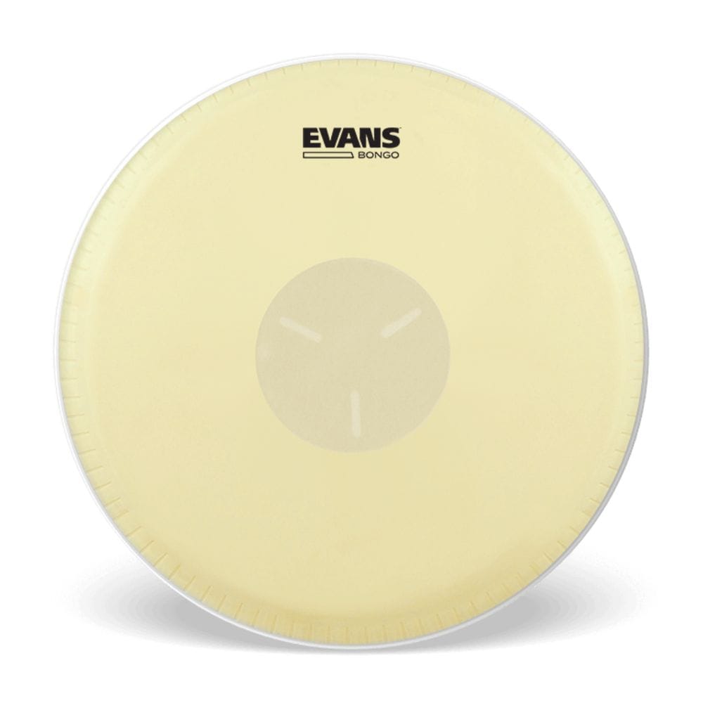 EVANS ボンゴ ヘッド  EB09/8 5/8