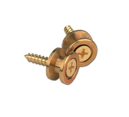 D'Addario エンドピン PWEP302 Brass Endpins【ダダリオ planetwaves プラネットウェイヴス pwep302】【ゆうパケット対応】