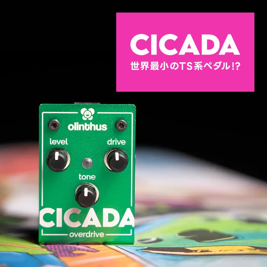 【ピック10枚セット付き！ 】CICADA (シカダ) オーバードライブ 【 olinthus オリンサス シケーダ シケイダ TS系 歪み 世界最小 ペダル エフェクター 】