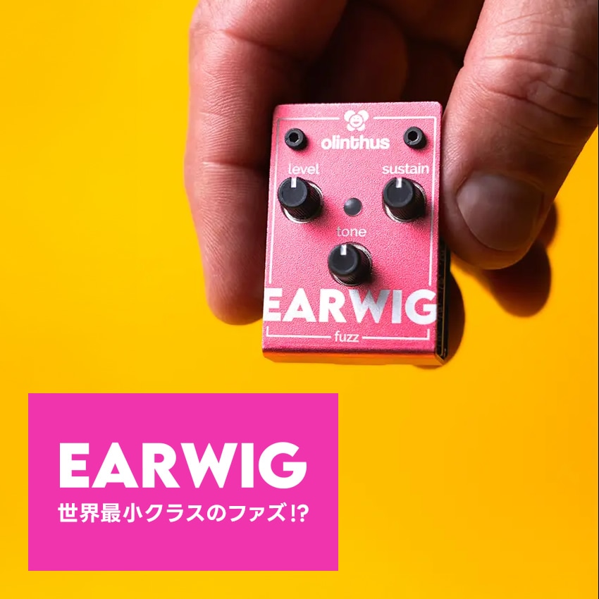 【ピック10枚セット付き！ 】EARWIG (イアーウィグ) ファズ 【 olinthus オリンサス BigMuff系 ビッグマフ系 歪み 世界最小クラス ペダル エフェクター 】