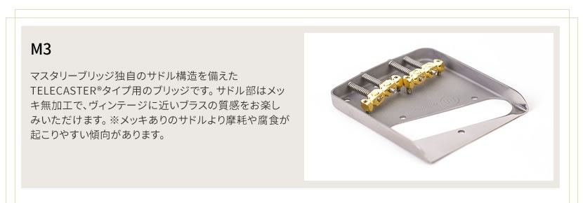 Mastery Bridge マスタリーブリッジ Tele Bridge スルーボディ