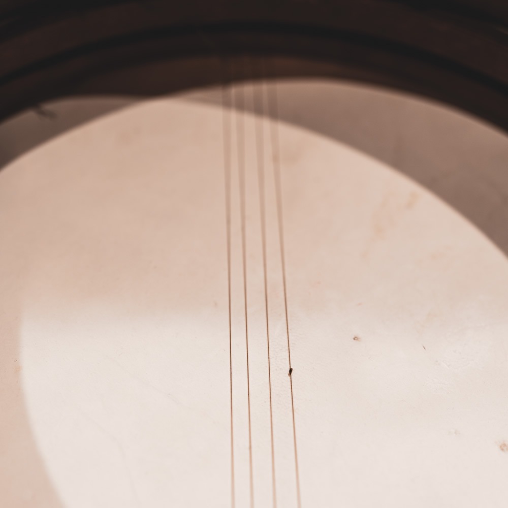 MEINL Percussion フレームドラム(ハンドドラム) Goat Skin Bendir 14