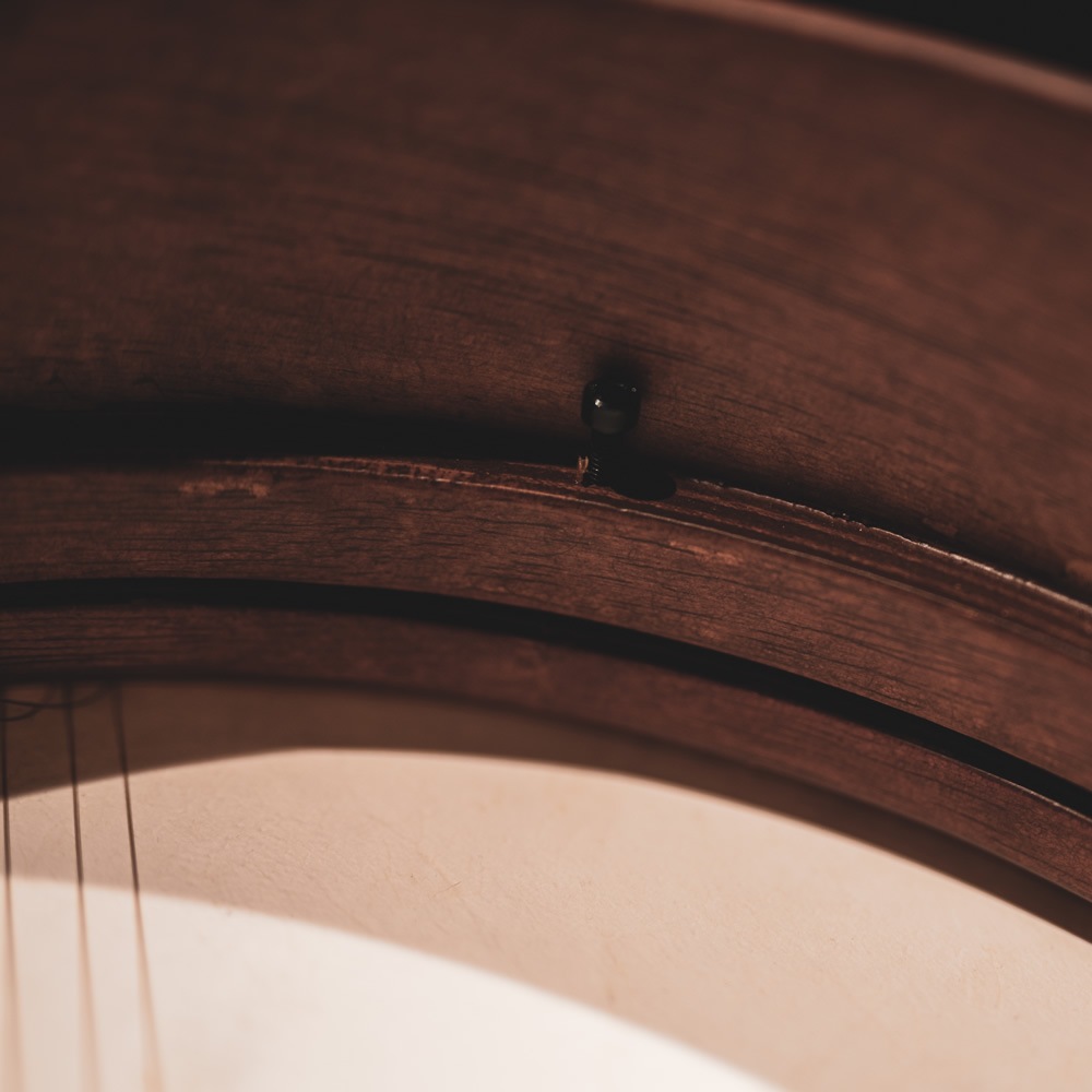 MEINL Percussion フレームドラム(ハンドドラム) Goat Skin Bendir 14