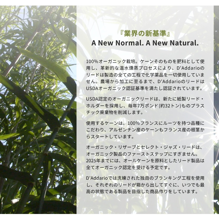 D'Addario WoodWinds ダダリオ リード アルトサックス用 RESERVE USDAオーガニック認証取得済 ODJR10 10枚入り 【ODJR1020/ODJR1025/ODJR1030/ODJR10305/ODJR1035/ODJR1040/ODJR1045】【ゆうパケット対応】