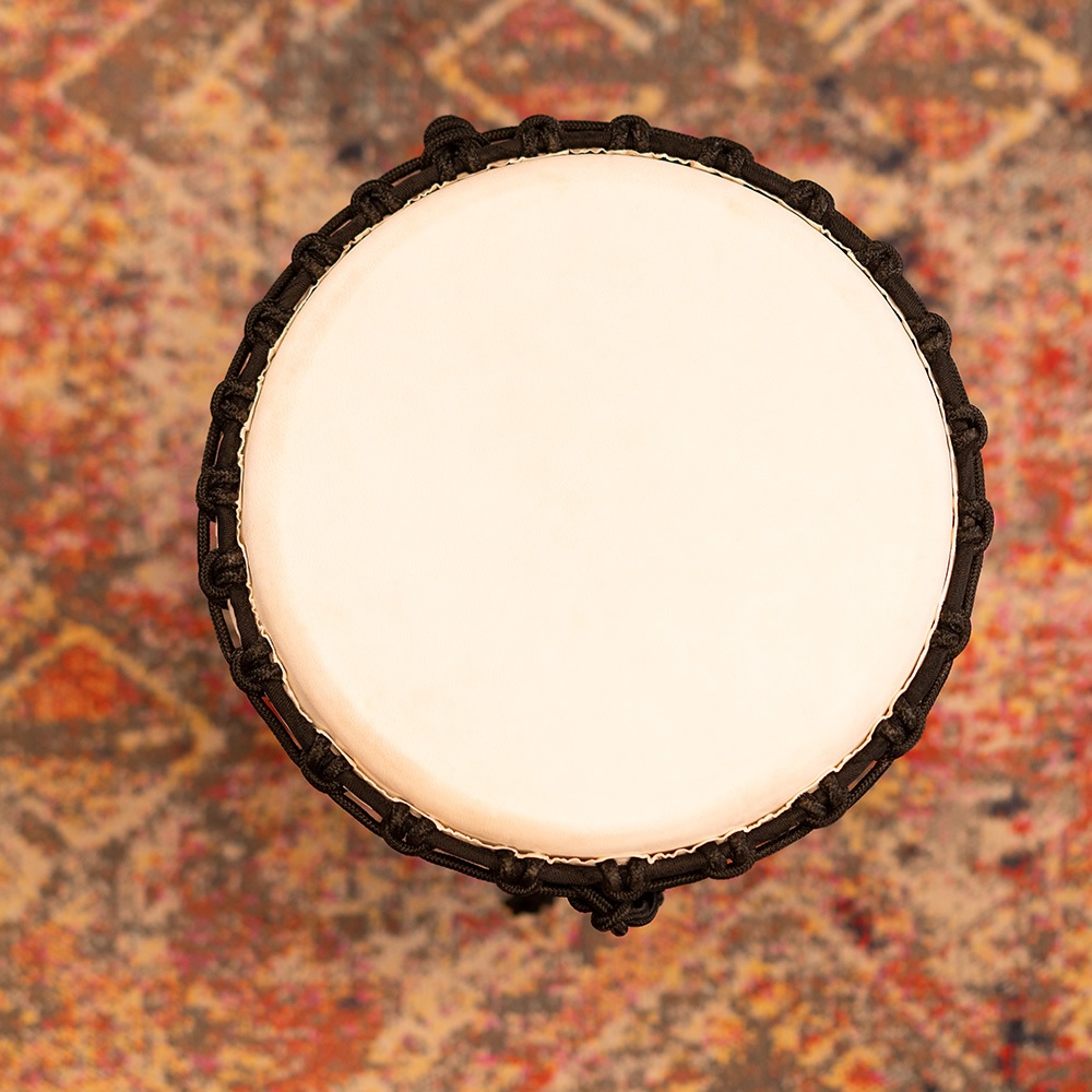 MEINL Percussion ジャンベ Congo Series 直径13インチ HDJ1-XL 【 マイネル パーカッション Djembe 】【 メーカー取り寄せ品 】