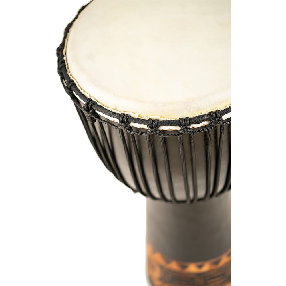 MEINL Percussion ジャンベ Congo Series 直径13インチ HDJ1-XL 【 マイネル パーカッション Djembe 】【 メーカー取り寄せ品 】