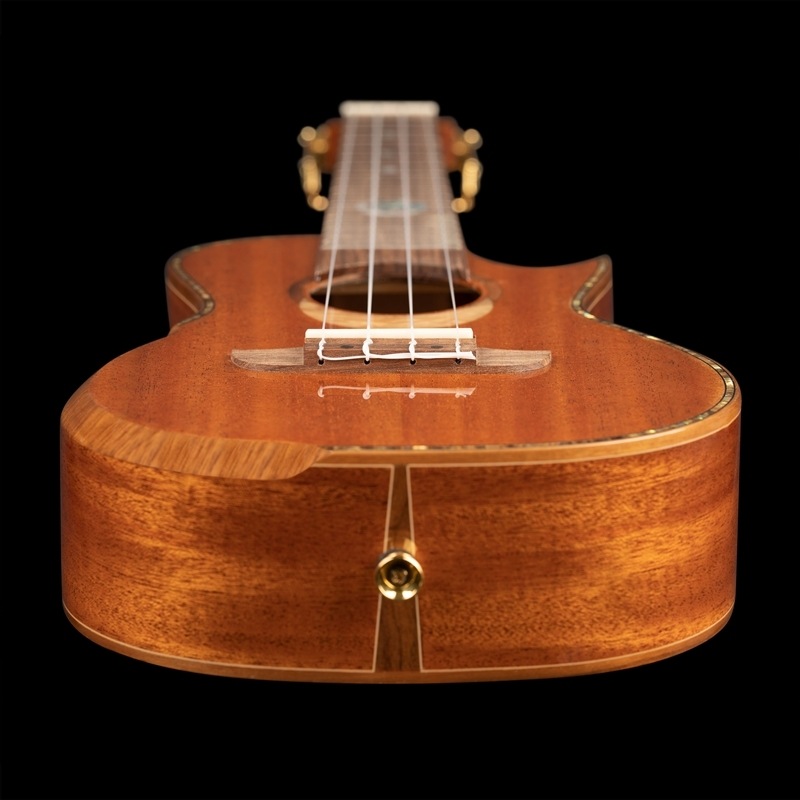 ウクレレ Koichitani Ukulele】No.122 コンサートサイズ｜ウクレレ専門店 KIWAYA