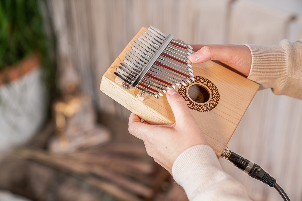 MEINL カリンバ　KL1709H トレーニングブックセット MEINL Sonic Energy Soundhole Kalimba / 17 Notes - Maple