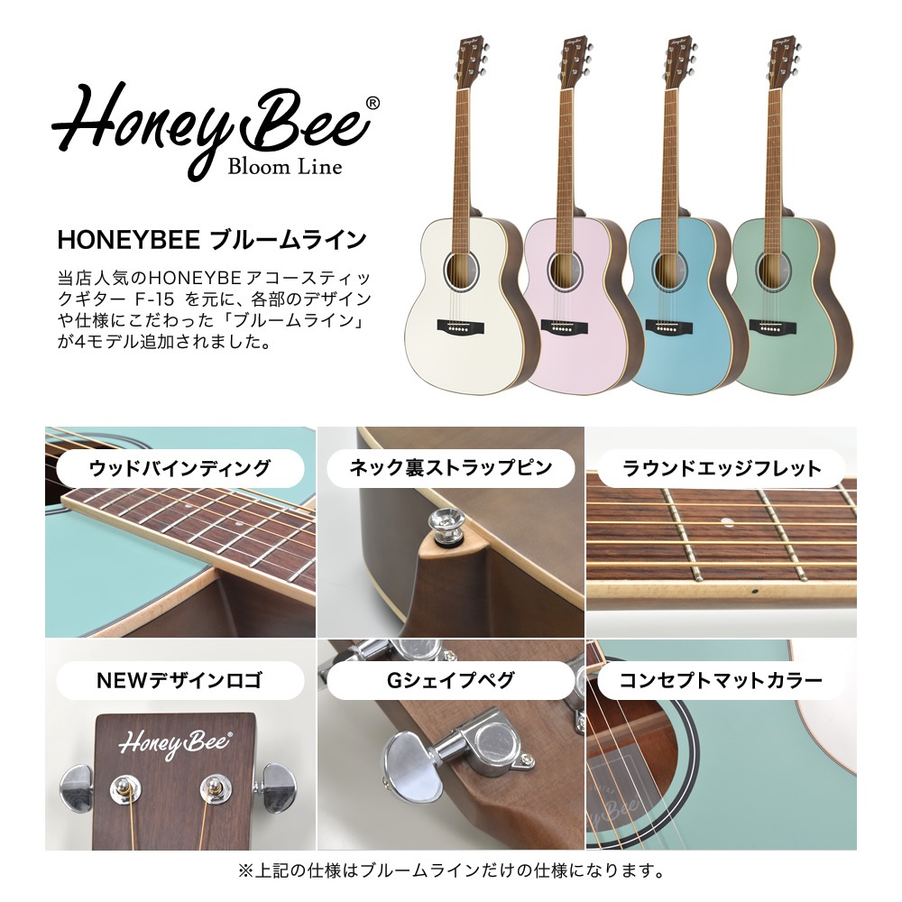 アコースティックギター HONEY BEE W-15/F-15/HJ-18 16点 初心者セット【アコギ 入門セット W15 F15 HJ18 初心者】【大型荷物】