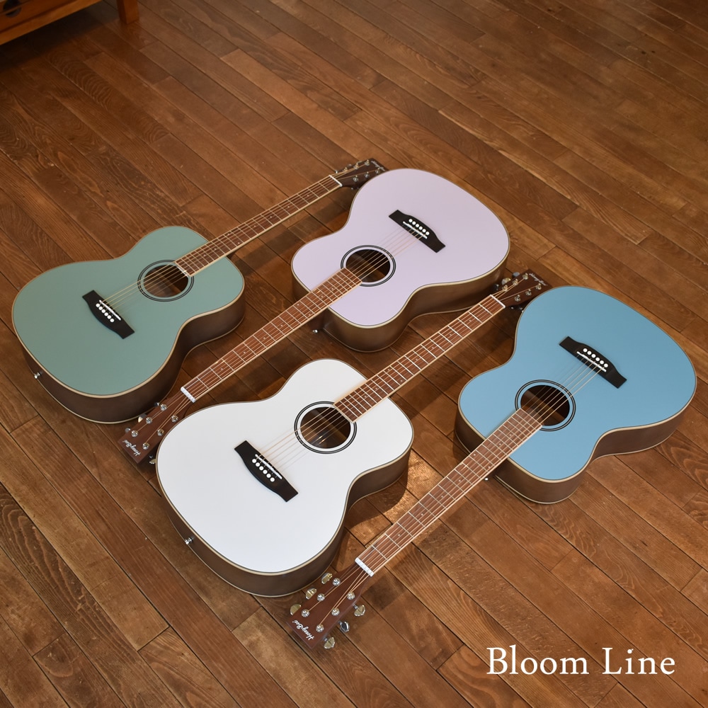 アコースティックギター HONEY BEE W-15/F-15/HJ-18 16点 初心者