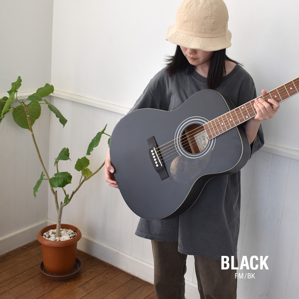 アコースティックギター HONEY BEE W-15/F-15/HJ-18 16点 初心者セット【アコギ 入門セット W15 F15 HJ18 初心者】【大型荷物】