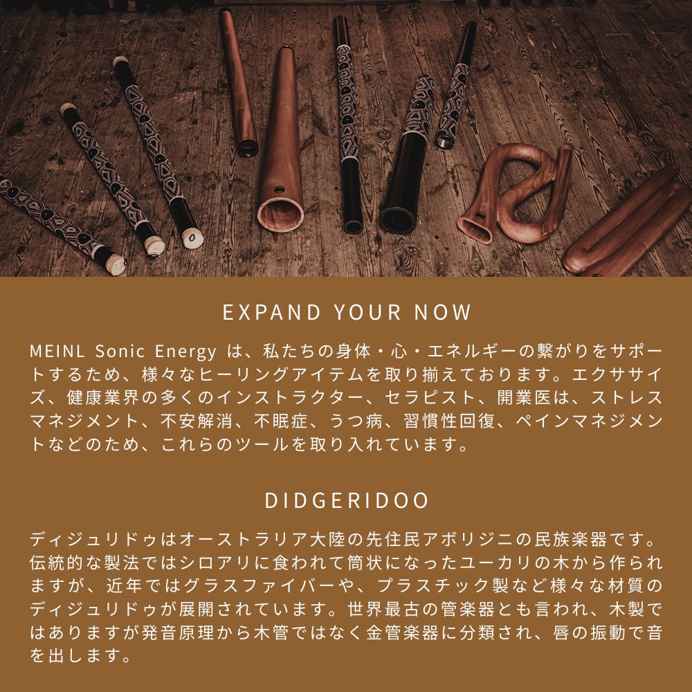 MEINL Sonic Energy Zシェイプ・プロ・ディジュリドゥ チューニングC DDPROFZC 【 マイネル ソニックエナジー Z-SHAPED PRO DIDGERIDOO 】【メーカー取り寄せ】