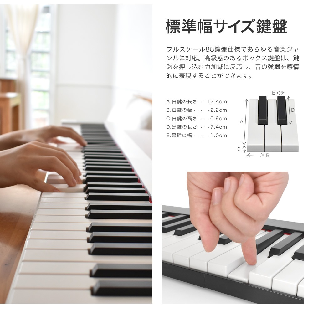 折りたたみ 電子ピアノ TORTE PH-88X 単品 (ペダル・ケース付き 