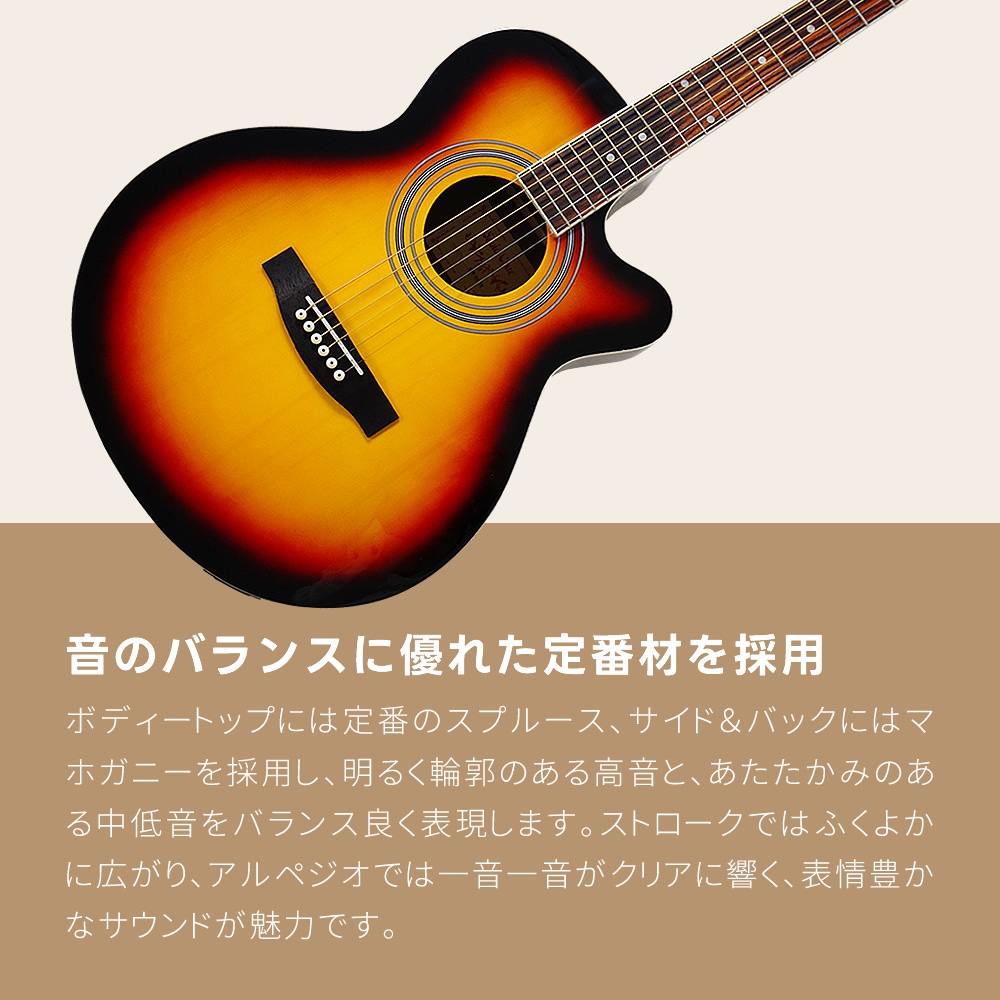 エレアコ Sepia Crue EAW-01 単品（ソフトケース、シールドケーブル