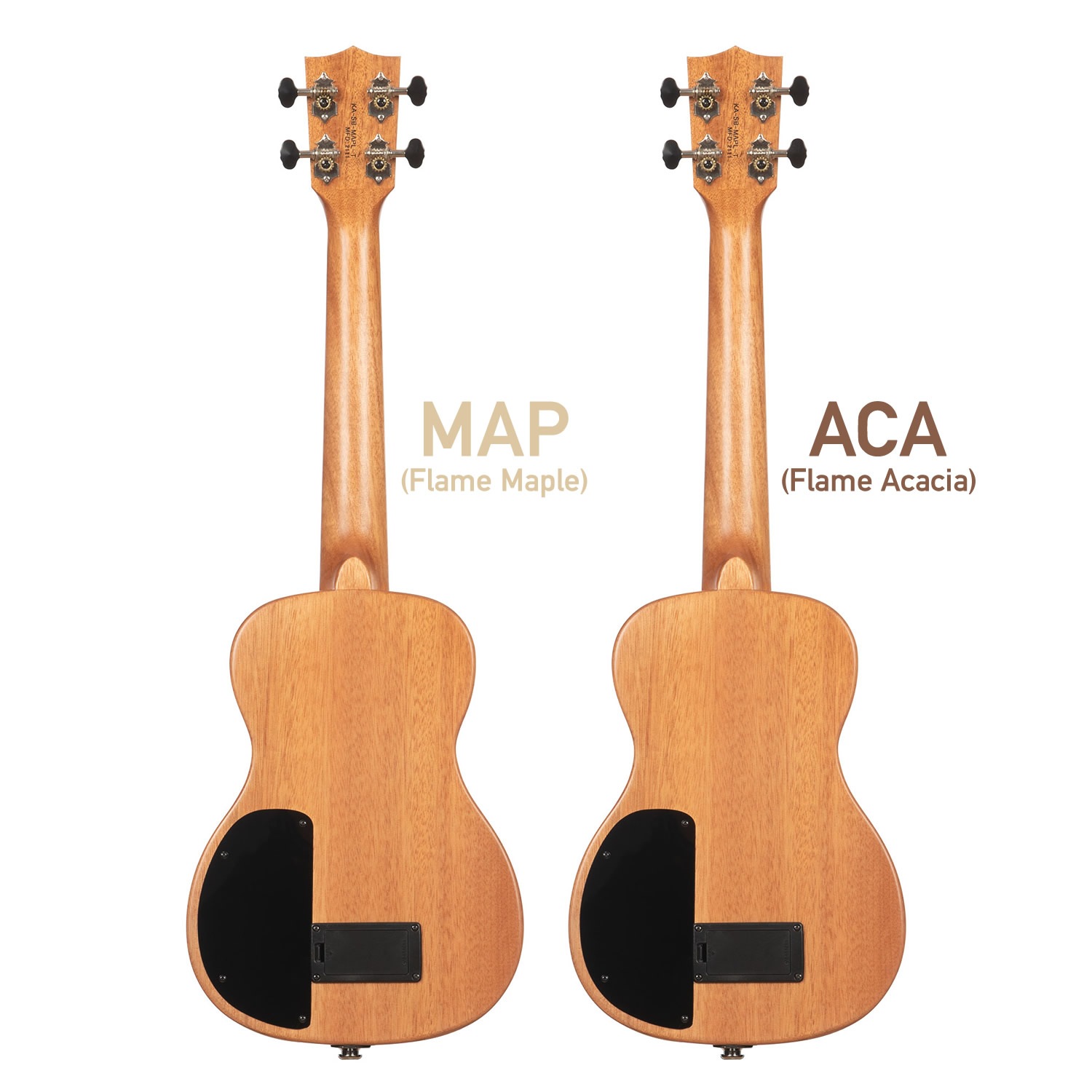 T's ウクレレ ティーズウクレレ ５弦ウクレレ コンサートサイズ T's ウクレレ ティーズウクレレ 5弦ウクレレ コンサートサイズ