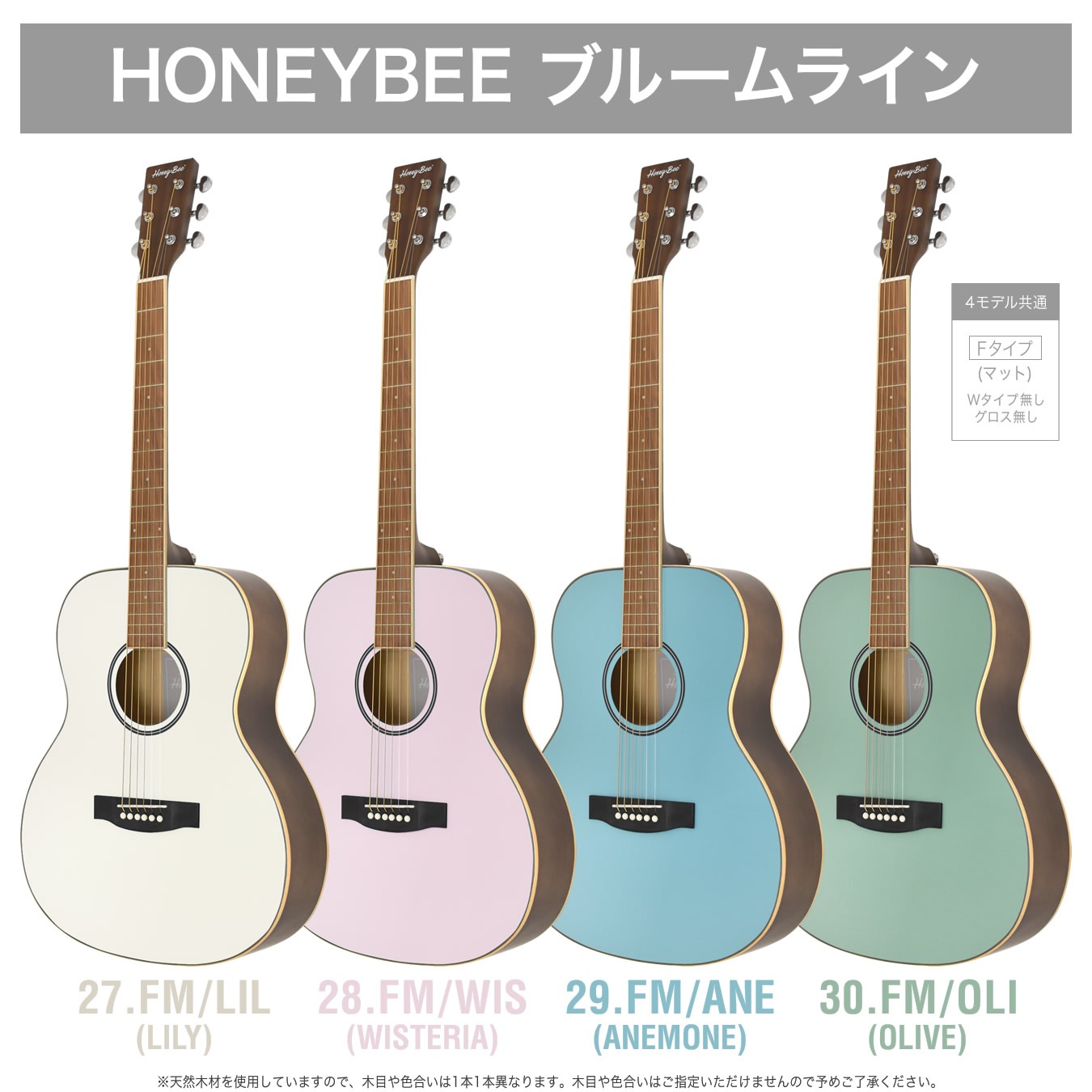 アコースティックギター HONEY BEEW-15/F-15/HJ-18 アコギ リミテッド