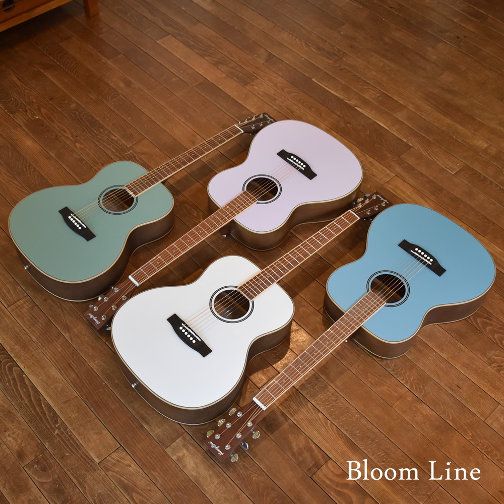 アコースティックギター HONEY BEEW-15/F-15/HJ-18 アコギ リミテッドセット【初心者 入門セット】【大型荷物】