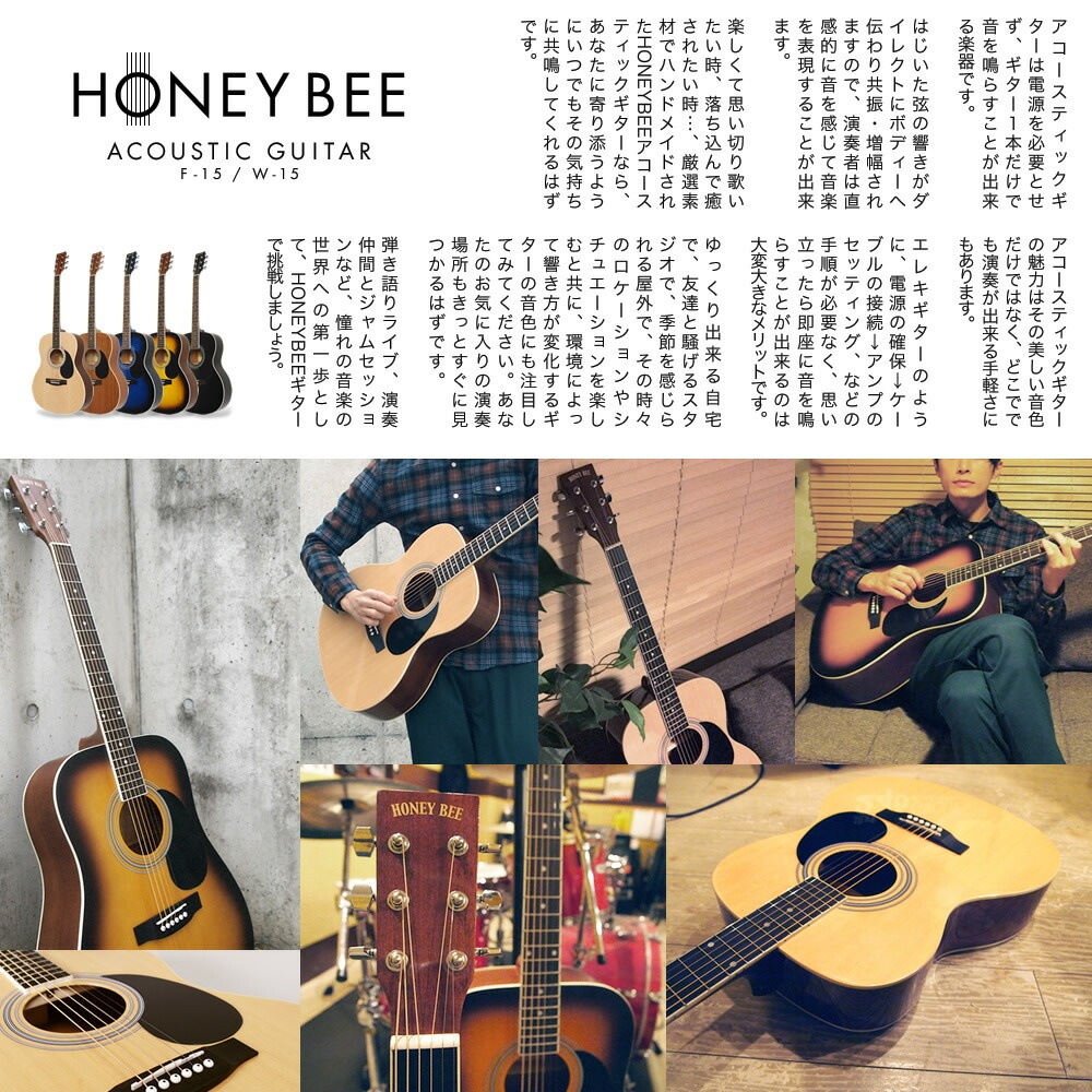 アコースティックギター（エレアコ） HONEY BEE F-16E 本体のみ
